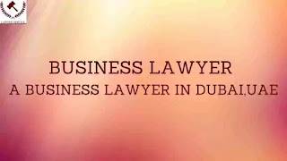 Business Lawyer